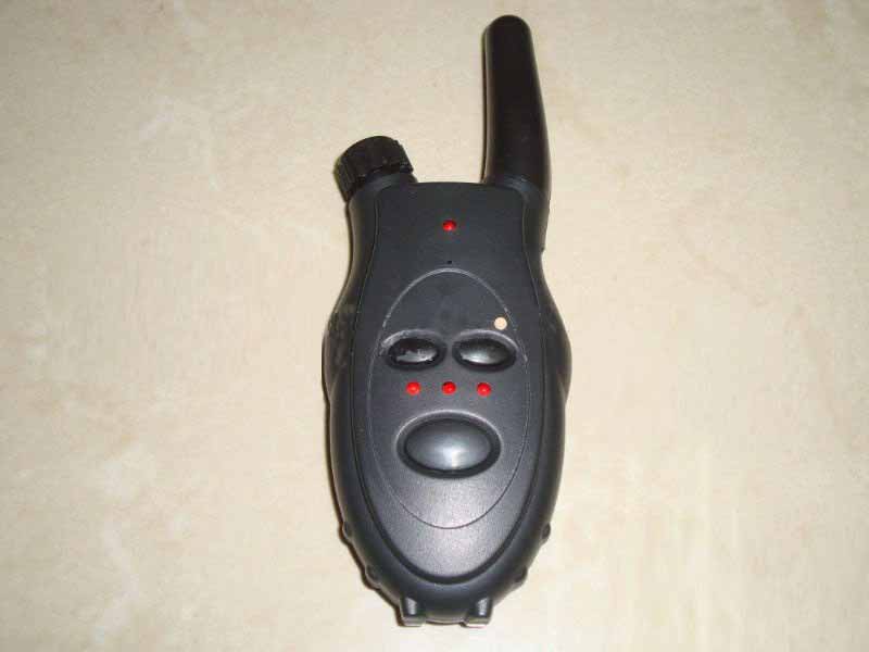 P105.jpg