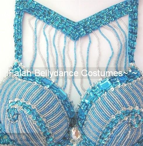 Shimmy Professional Bellydance Costume SetBra+Belt+Skirt setBeledi kay hardy campbellCustom-made Outfits (1).jpg