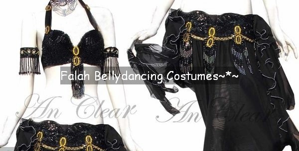 Professional Egyptian belly dance costume set Raks Sharki Hand made Belly dancer outfits Custom made belly dancing Falah costumes (1).jpg