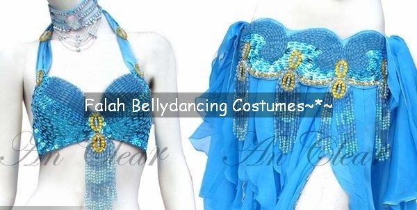 Professional Egyptian belly dance costume set Raks Sharki Hand made Belly dancer outfits Custom made belly dancing Falah costumes (5).jpg
