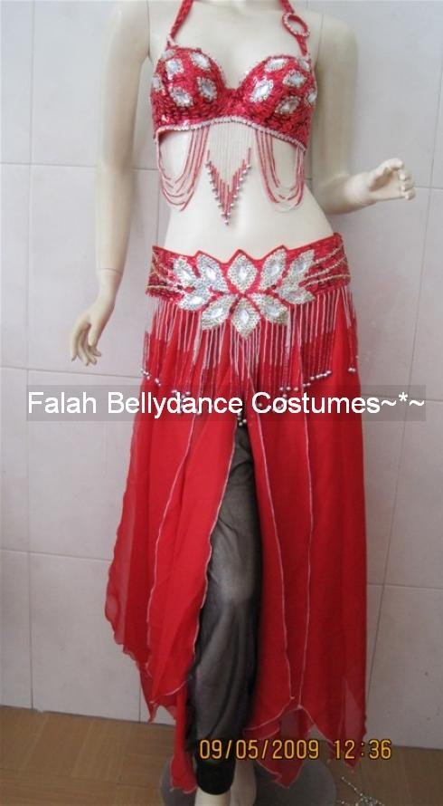 High Level Bellydancer Costume Set / Custom-made Costumes / Customized Outfits  High Level Bellydancer Costume Set / Custom-made Costumes / Customized Outfits