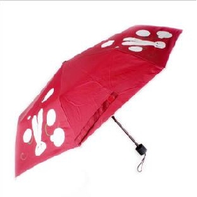 Creative Music Change Color Prevent UV Solar Umbrella