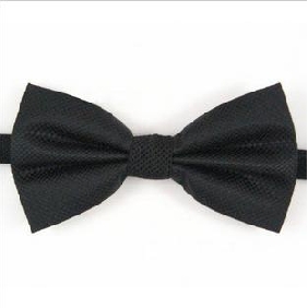 The Case Form Polyester Silk Wool Lining Official Tie