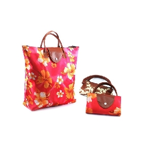 Novelty Portable Waterproof Collapsible Environmentally Friendly Shopping Bags